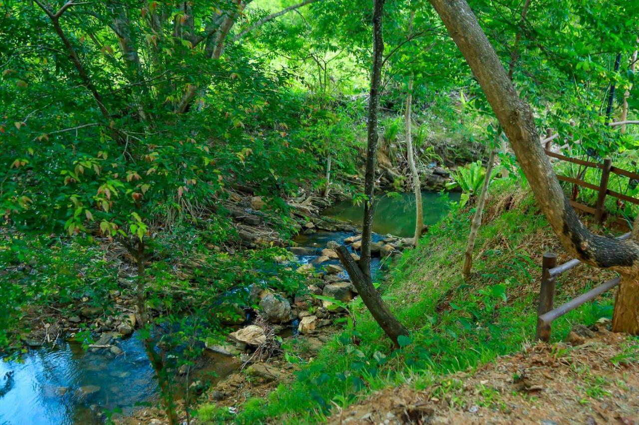 Doola River Edge Удавалаве Екстериор снимка