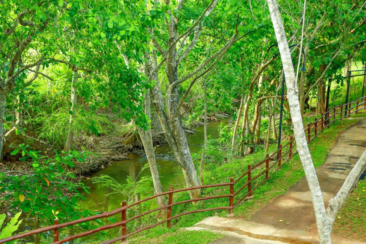 Doola River Edge Удавалаве Екстериор снимка